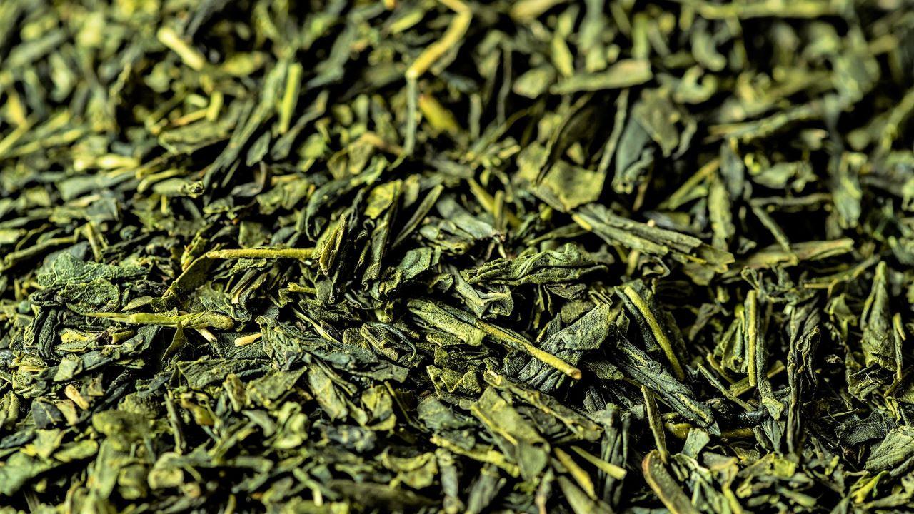 お茶が摘まれる時期によってエピガロカテキンガレートが減少？