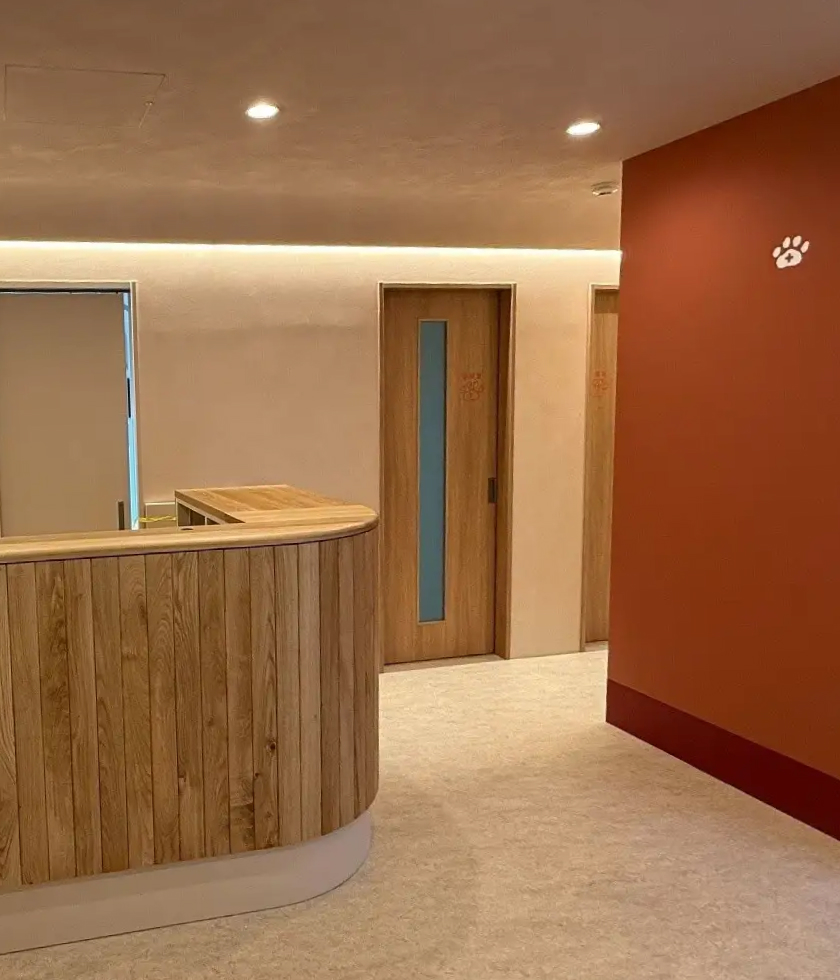 KINS WITH 動物病院 立川院、改装工事が完了